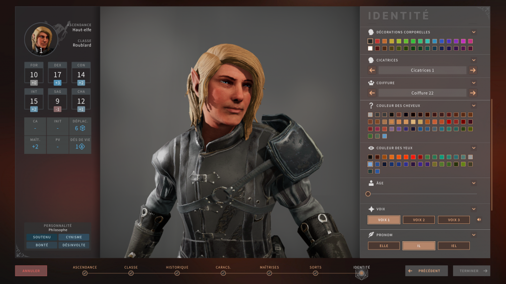 customization high elf rogue identity