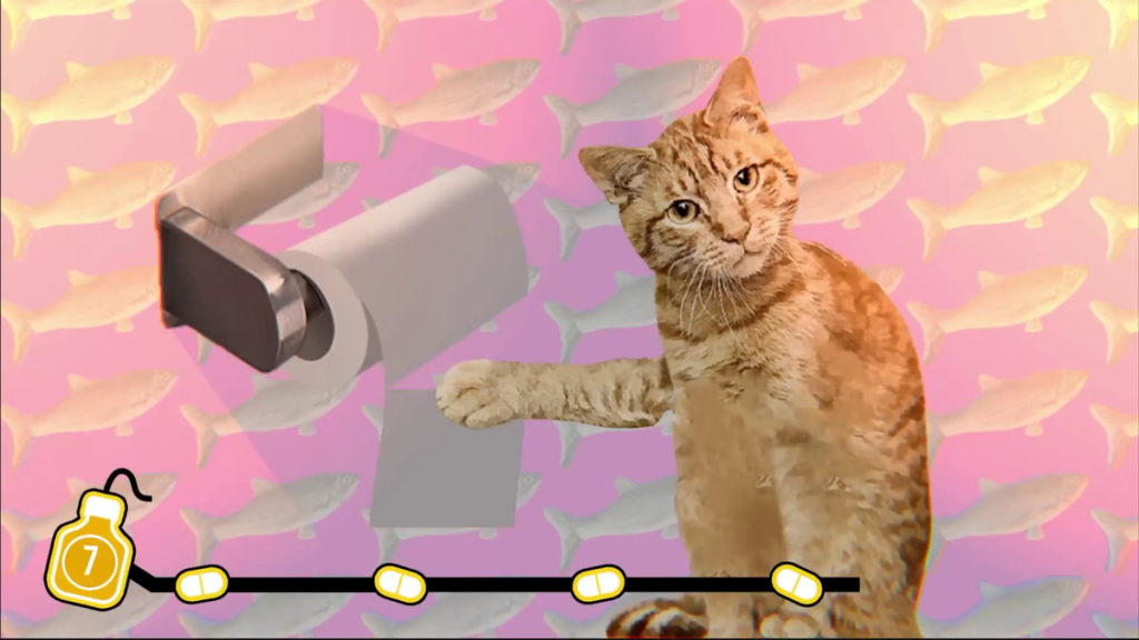 cat unrolls toilet paper